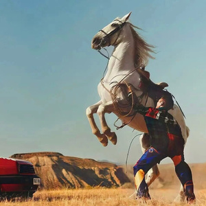 日本做受❌❌高潮999
